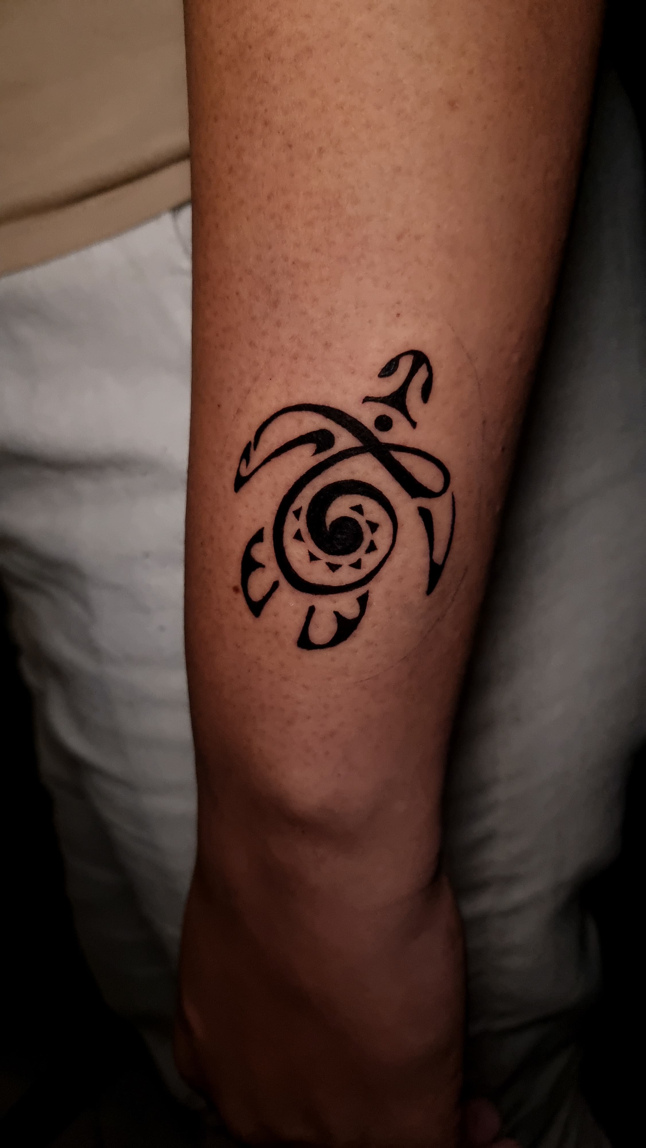 Tartaruga Maori